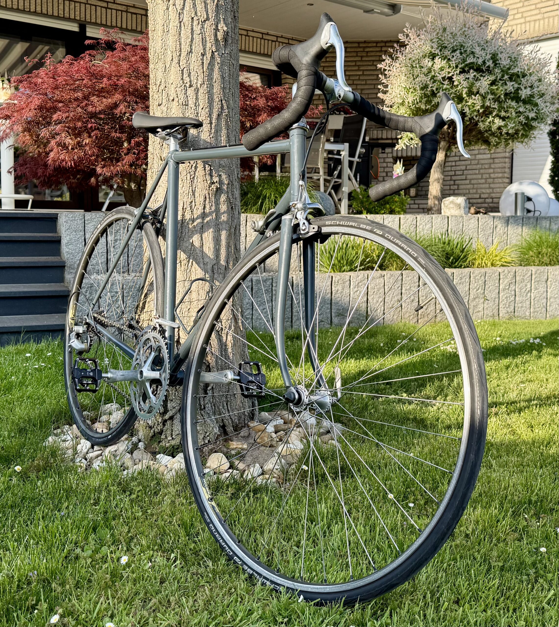 Rennrad - Bilanz und Fazit